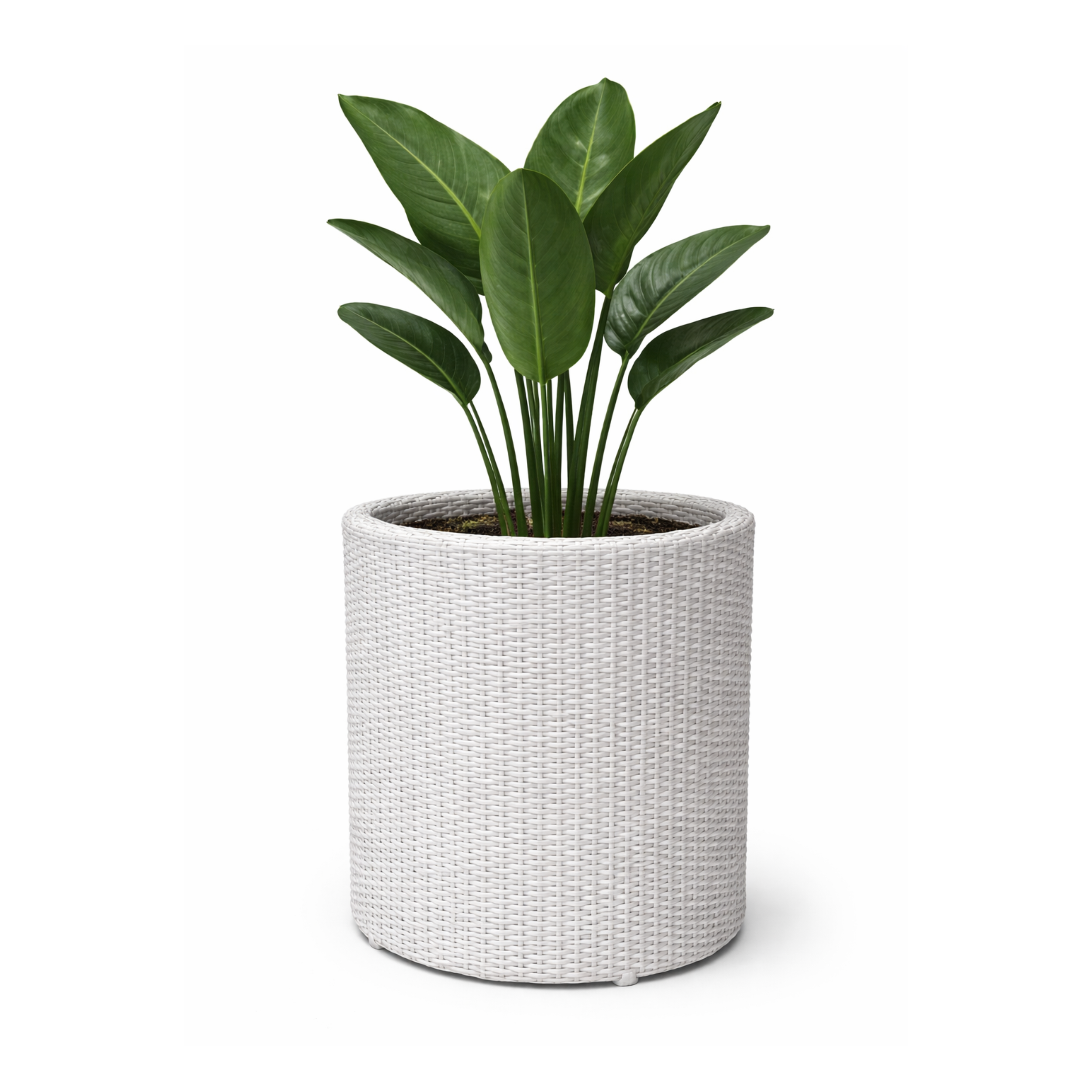 Weave Craft Planter Weave Craft