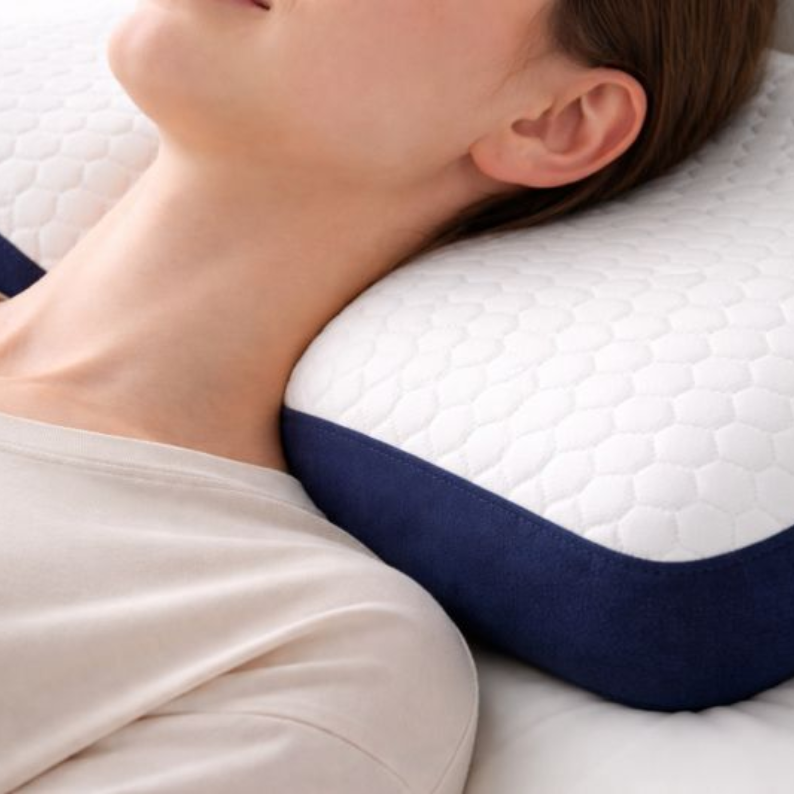 ARENA PILLOW RECTANGLE SAMALL EVSR01 ARENA