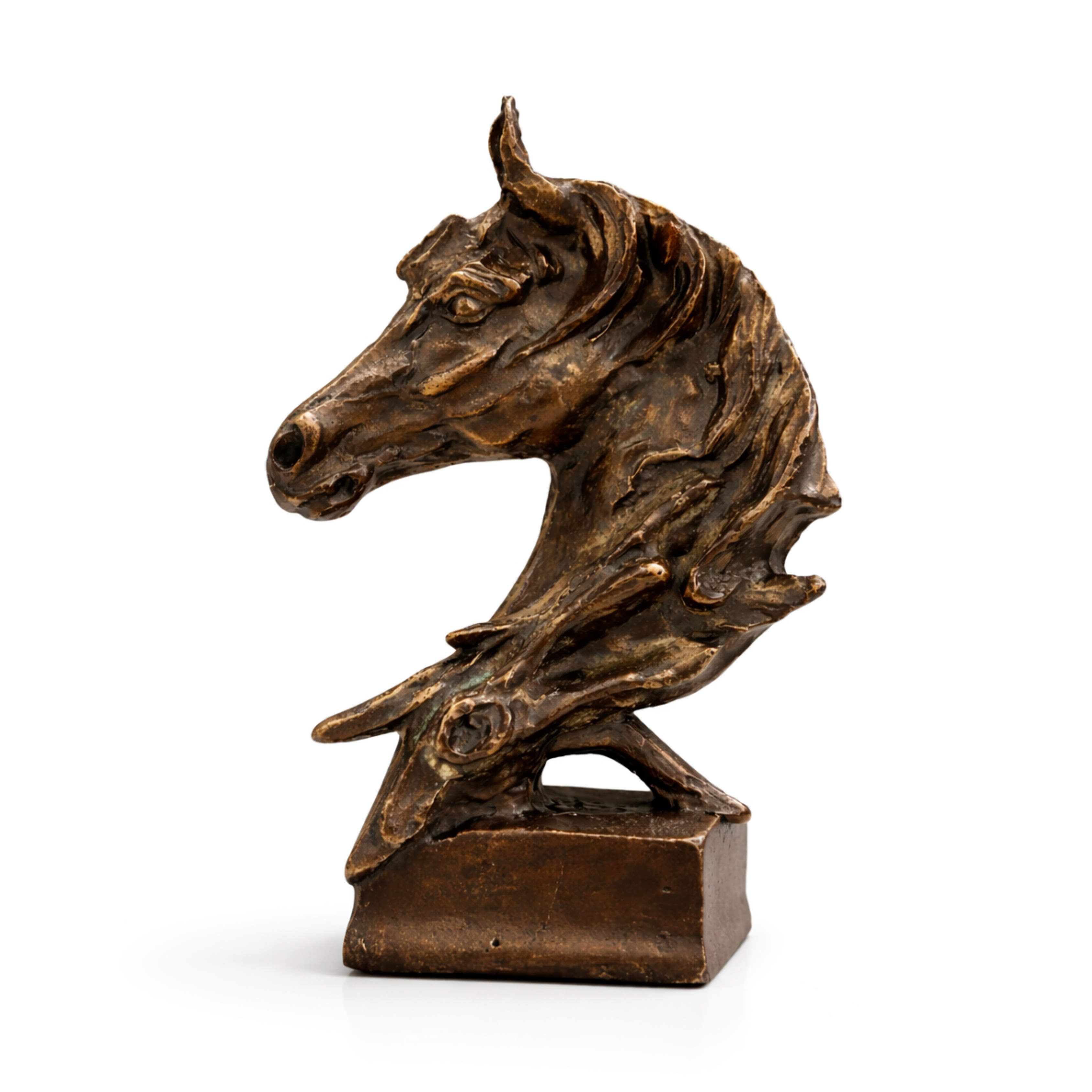 Horse Head – Metal Homedecore CMM Arena