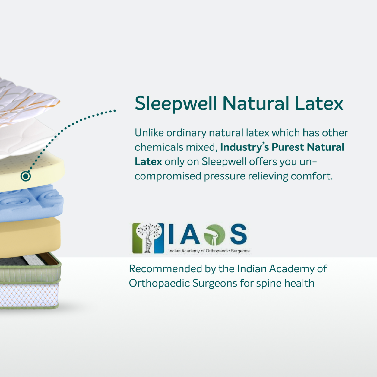 SLEEPWELL FOAM MATTRESS SPINETECH PREMIUM 78X36X7 INCH SLEEPWELL