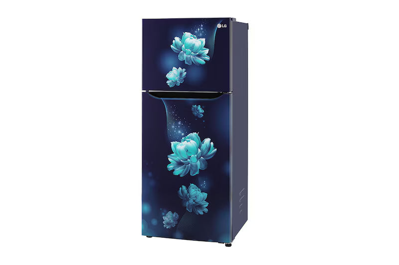 LG REFRIGERATOR-FF-DD GL-N292BBCY BLUE CHARM 243 LTRS LG