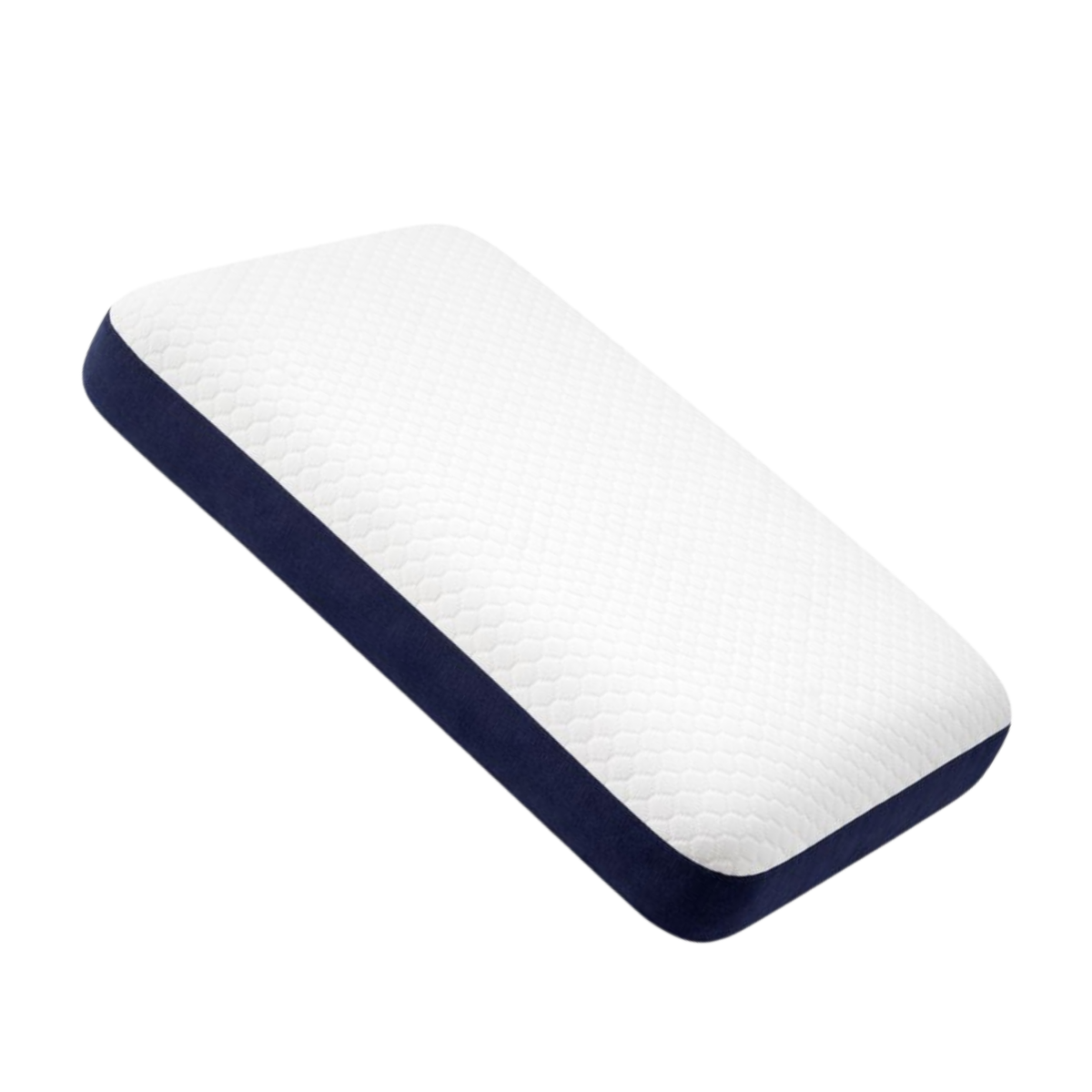 ARENA PILLOW RECTANGLE BIG EVBR01 ARENA