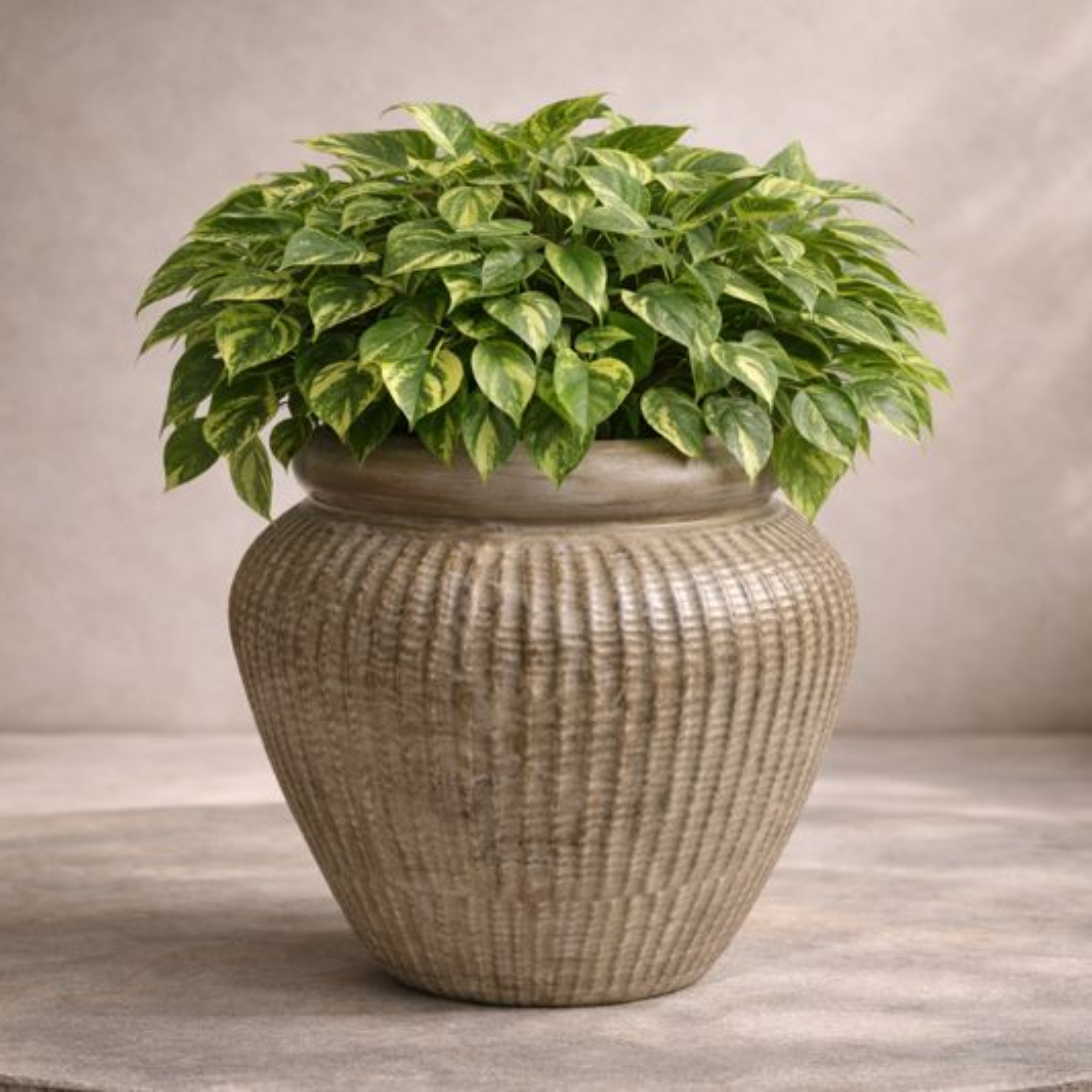 Puddle Planter - Biege OoNA