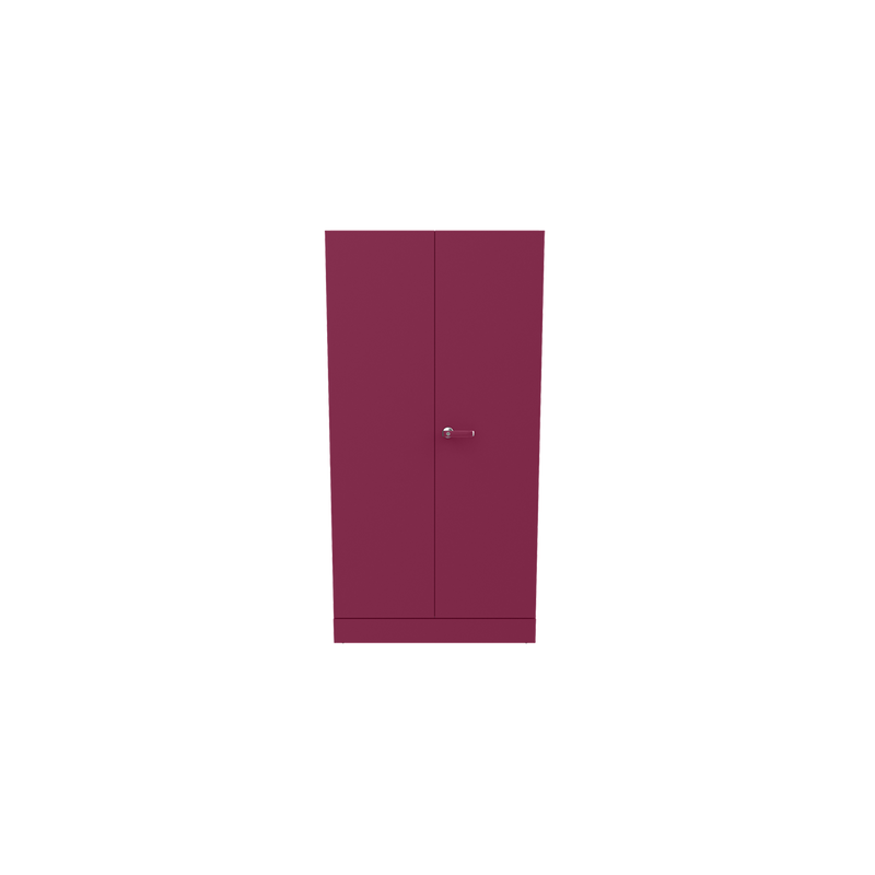 Auraline® Men Basic Steel Almirah 2 Door, Textured Berry Color