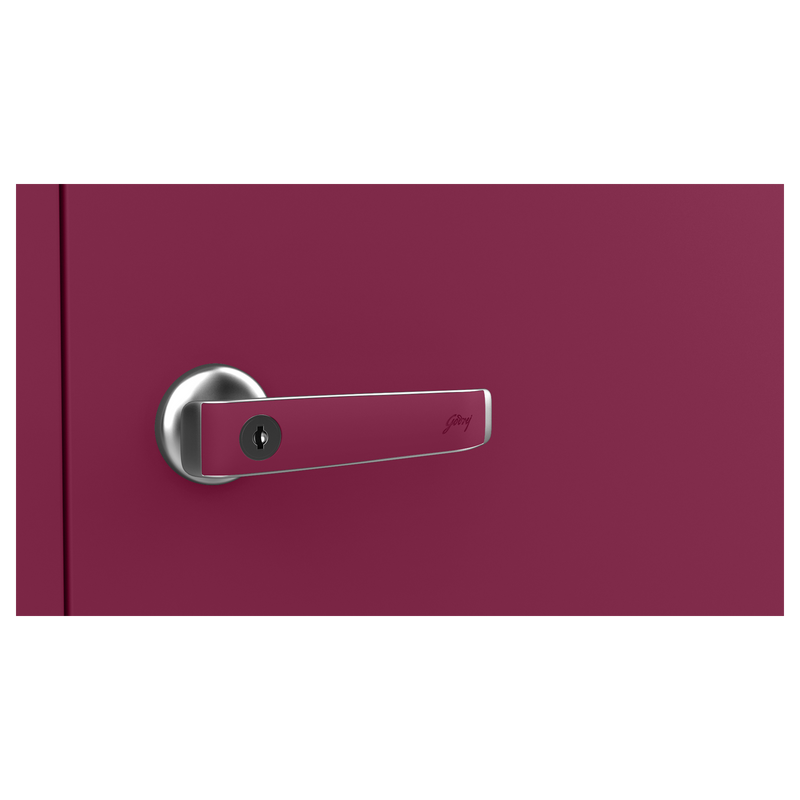 Auraline® Women Basic Steel Almirah 2 Door, Textured Berry Color