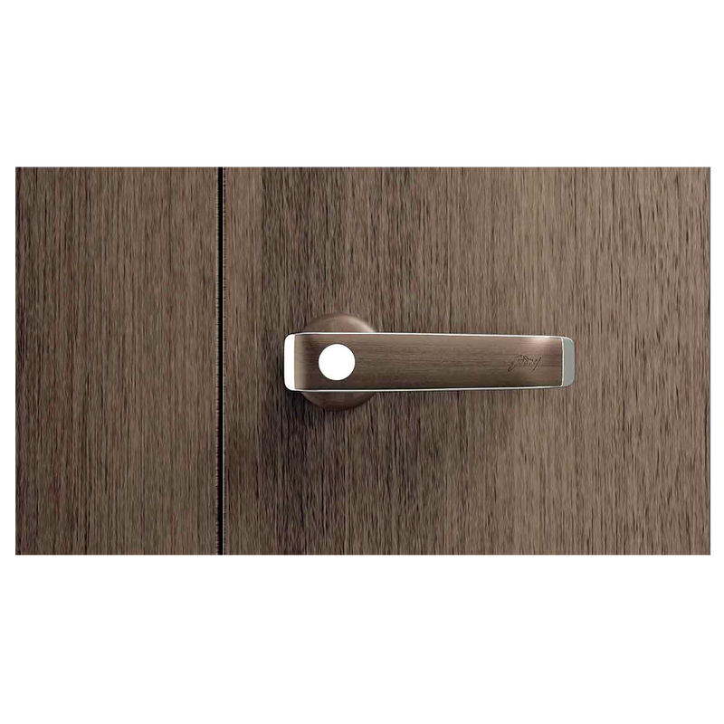 Auraline® Men Basic Steel Almirah 2 Door, Walnut Color