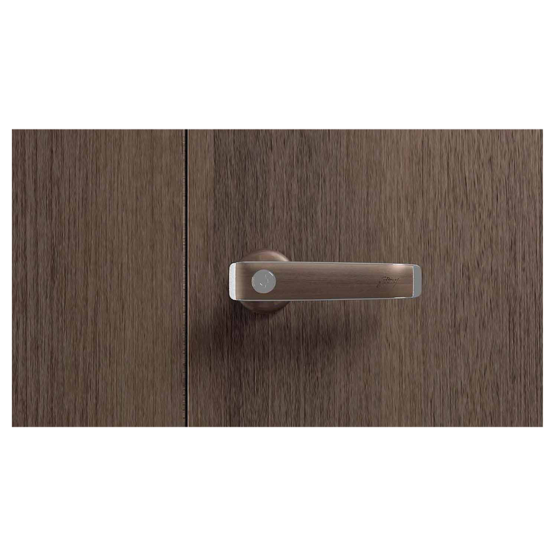 Auraline® Men Premium Steel Almirah 2 Door, Walnut Color