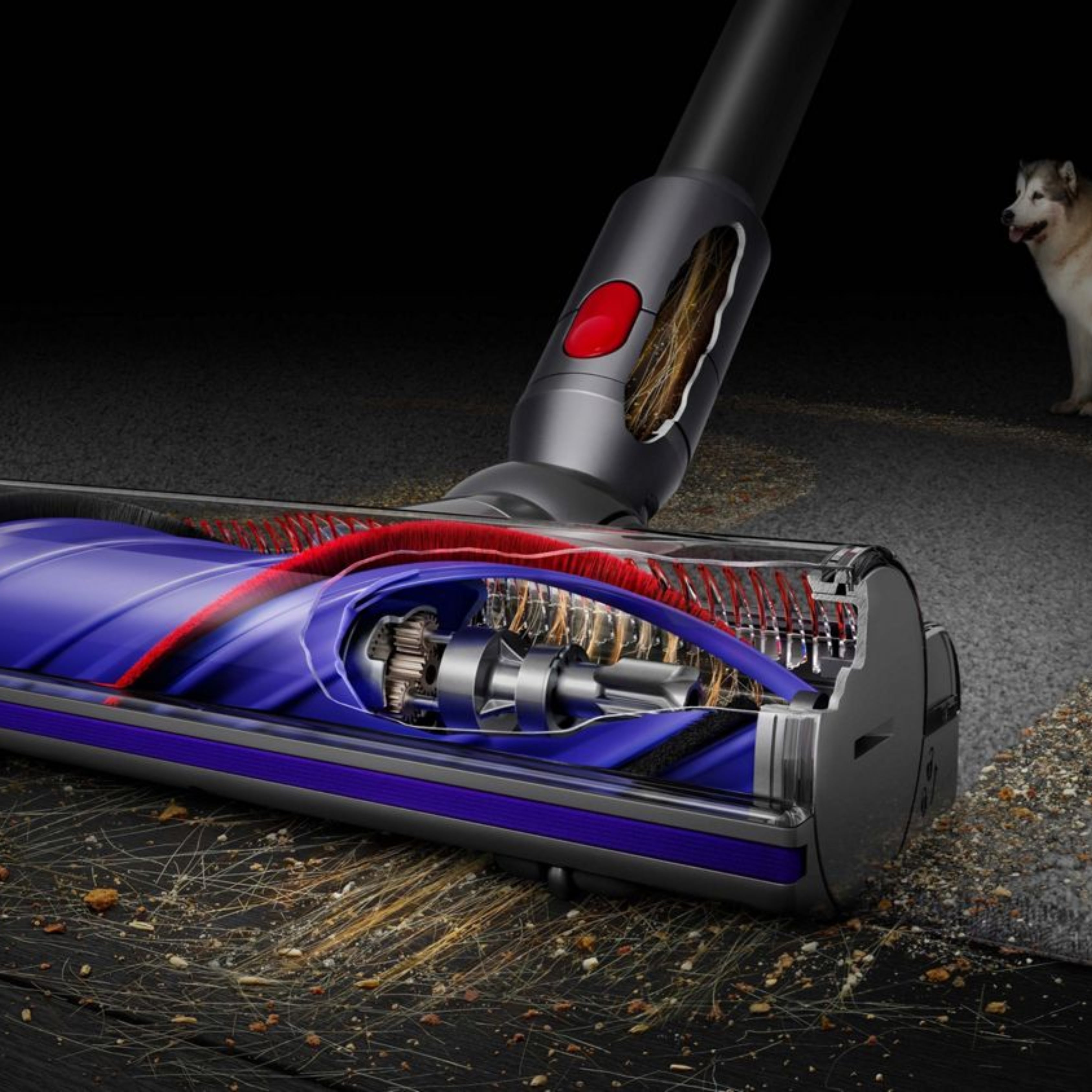 Dyson V8 Absolute Cordless Vacuum Cleaner CMM Arena Retails Pvt Ltd