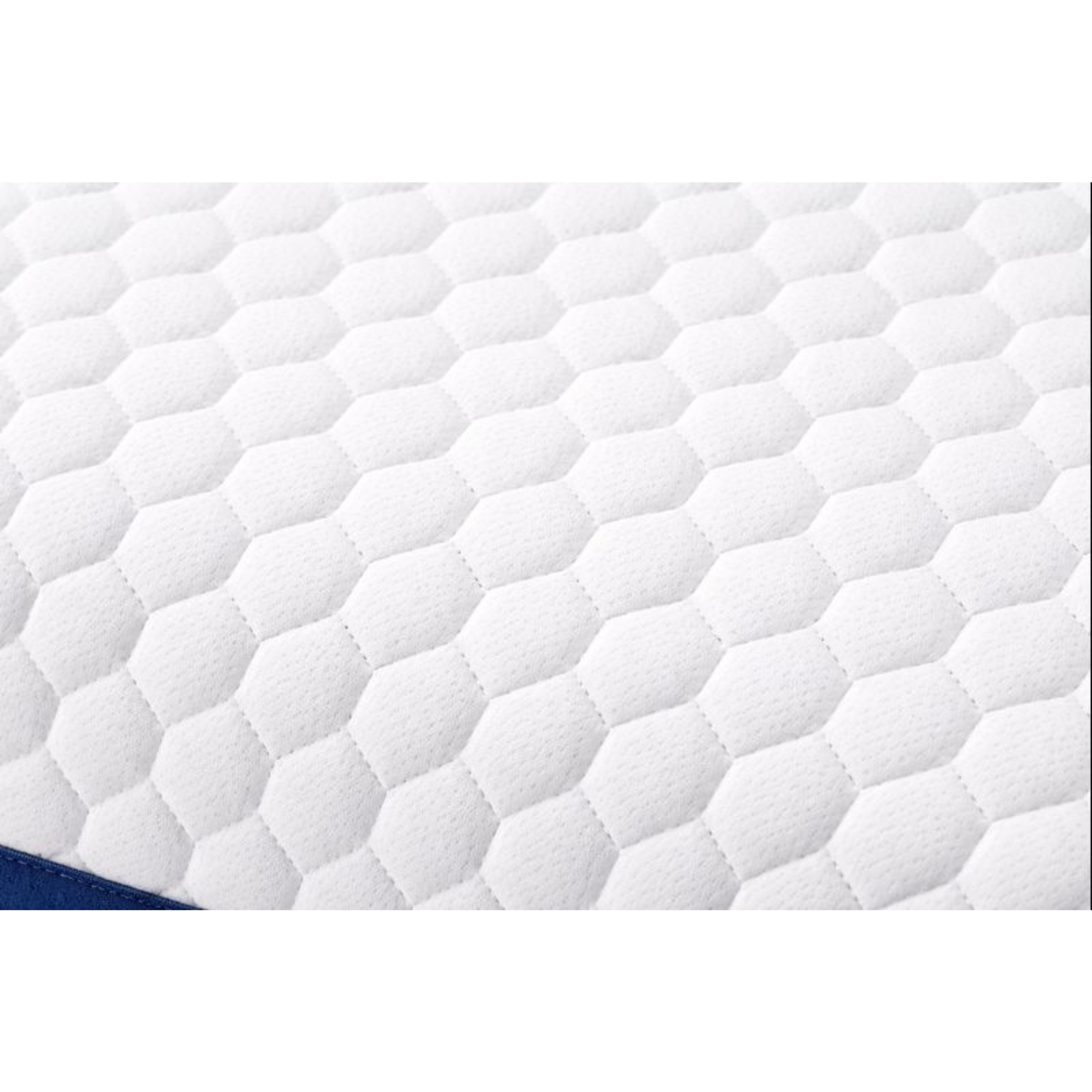 ARENA PILLOW RECTANGLE SAMALL EVSR01 ARENA