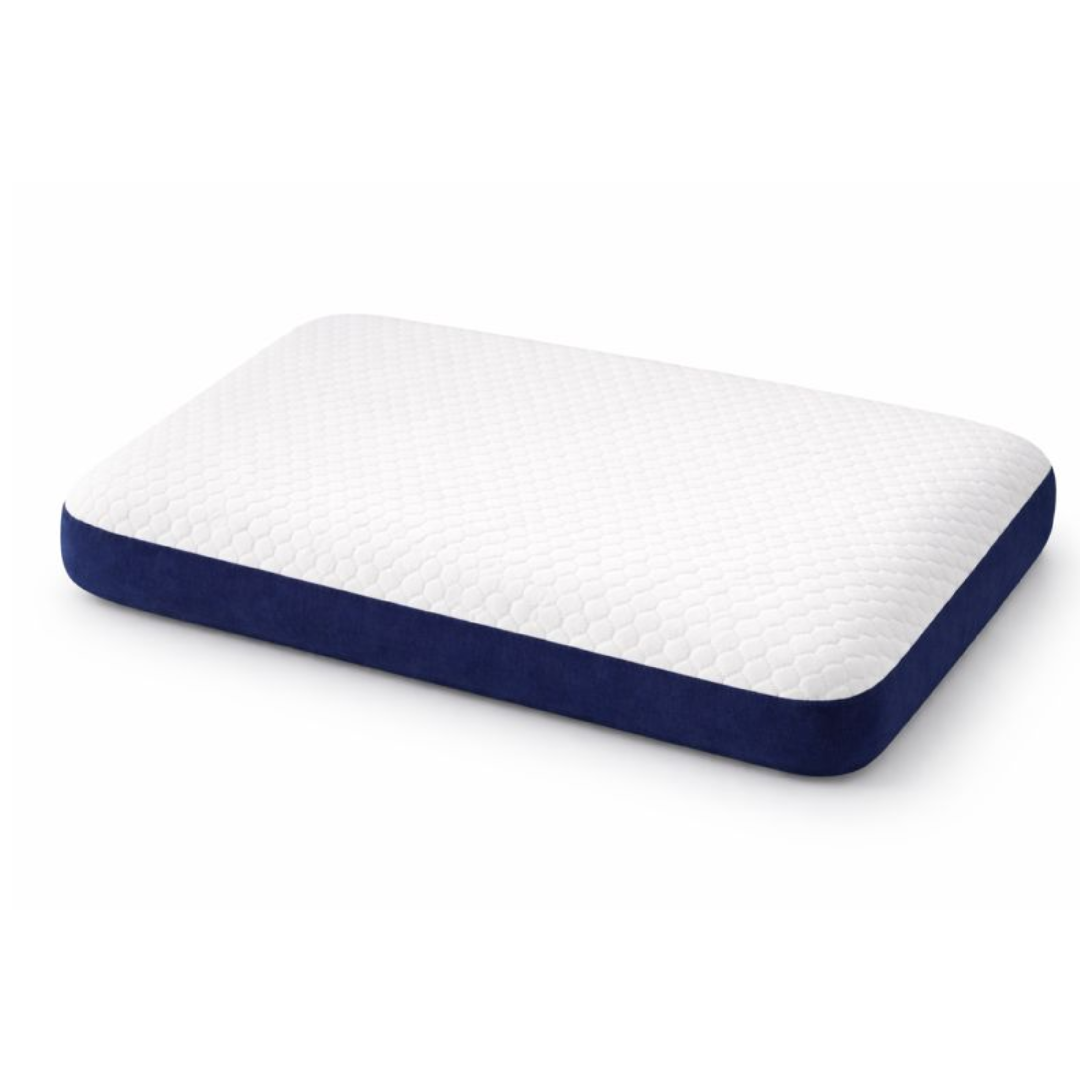 ARENA PILLOW RECTANGLE SAMALL EVSR01 ARENA