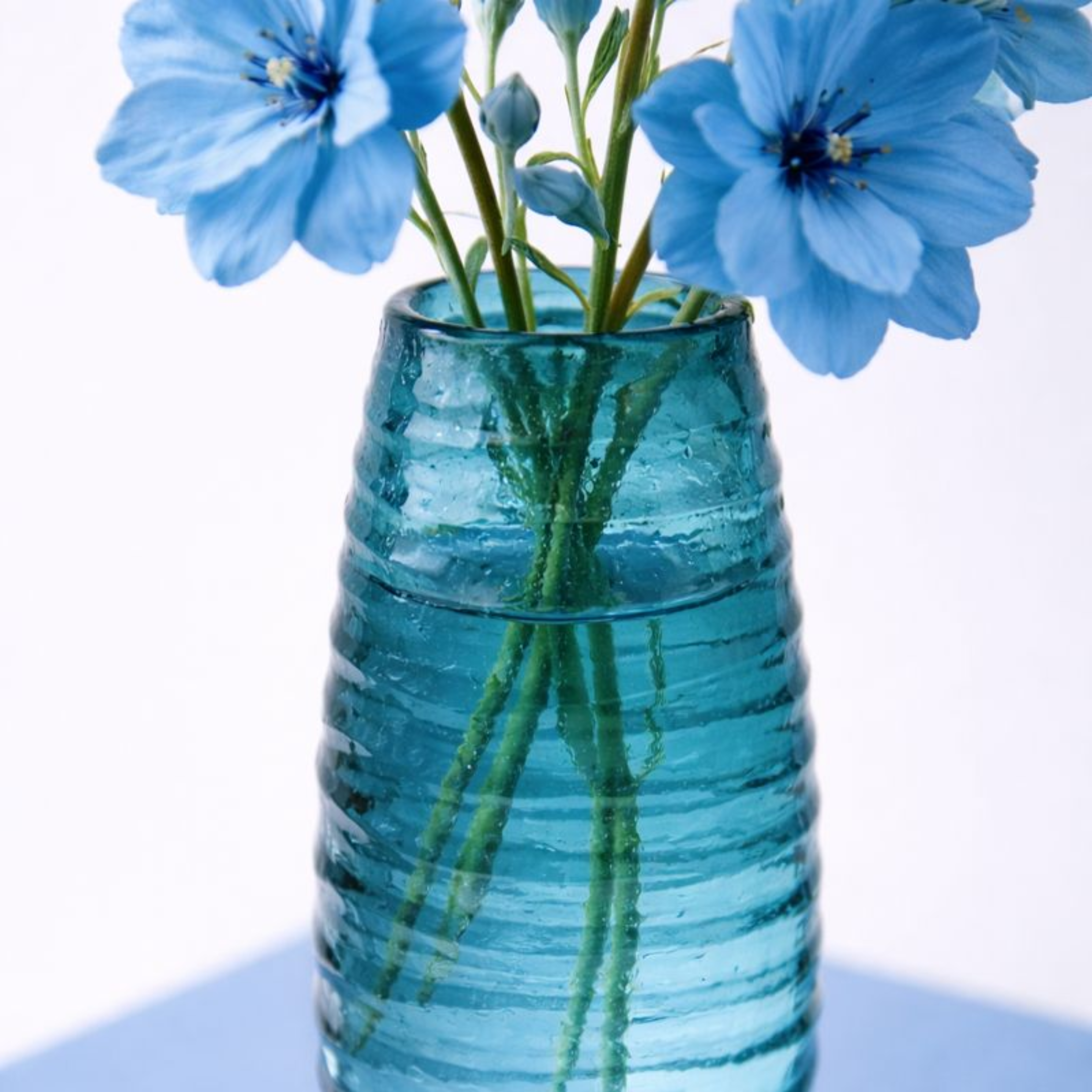 OONA Glass Vase Large CMM Arena Retails Pvt Ltd