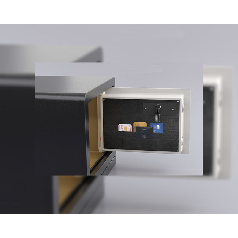 GODREJ Ritz Biometric 30 Ltr |Buzz with hidden compartment Home Lockers